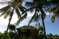House and Paddy fields