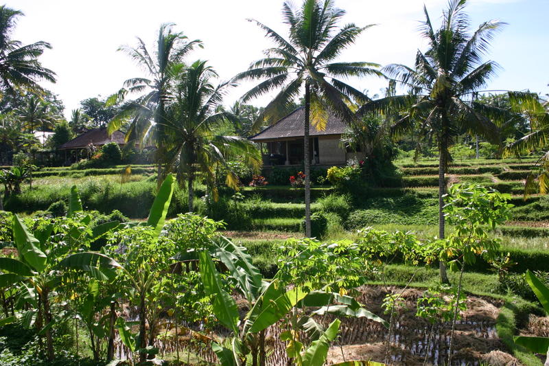 00144.jpg