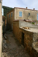 img_4964.jpg