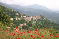 img_4984.jpg