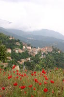 img_4985.jpg