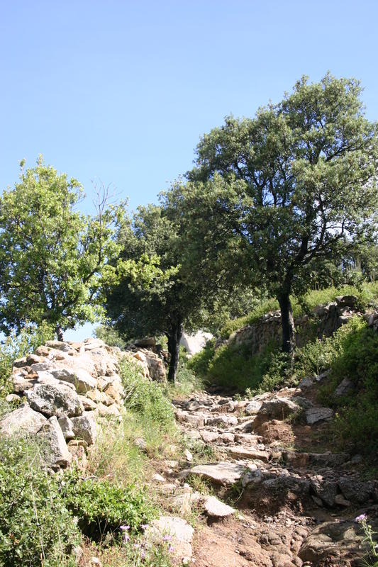 img_4996.jpg