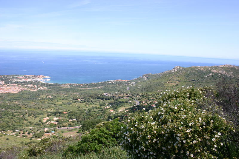 img_5005.jpg