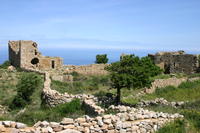 img_5014.jpg