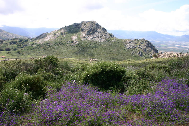 img_5025.jpg