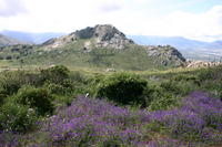 img_5025.jpg