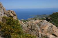 img_5030.jpg