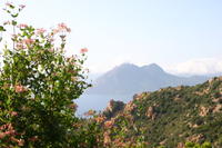 img_5112.jpg