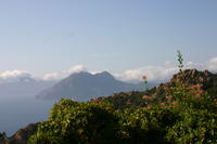img_5113.jpg