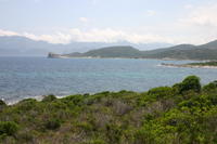 img_5162.jpg