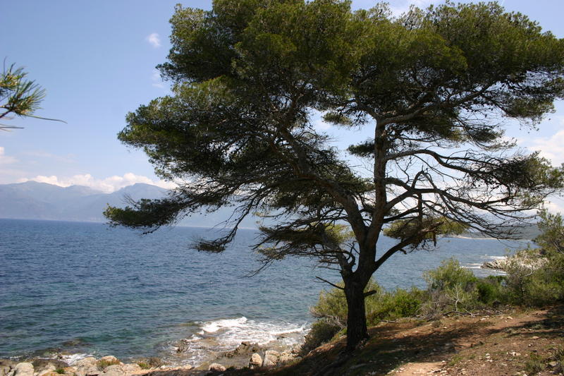 img_5177.jpg