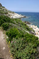 img_5184.jpg