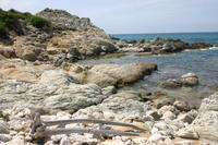 img_5190.jpg