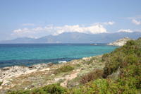 img_5194.jpg