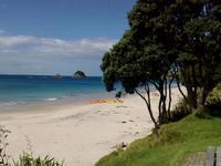 Hahei Beach