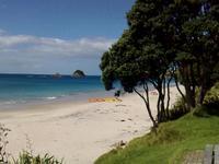 Hahei Beach - Flash
