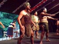 Haka - Flash