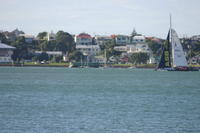 img_6036.jpg