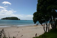 Coromandel - Hahei