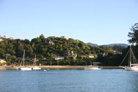 img_6396.jpg