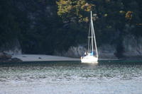 img_6407.jpg