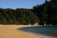 img_6411.jpg