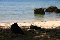 img_6448.jpg