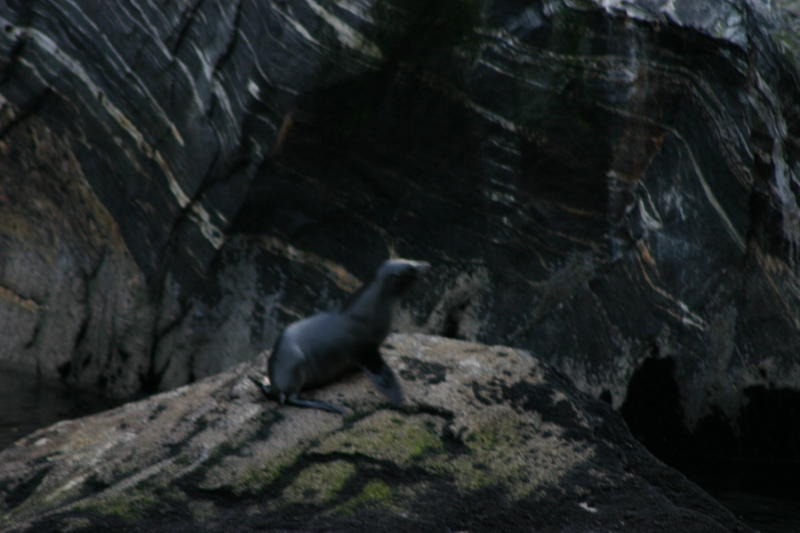 img_6646.jpg