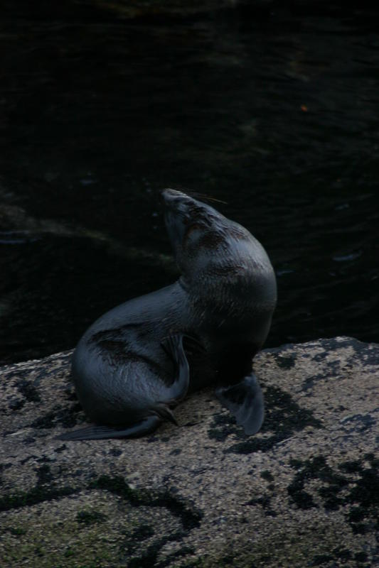 img_6649.jpg