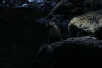 img_6650.jpg