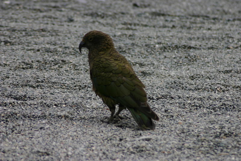 img_6669.jpg