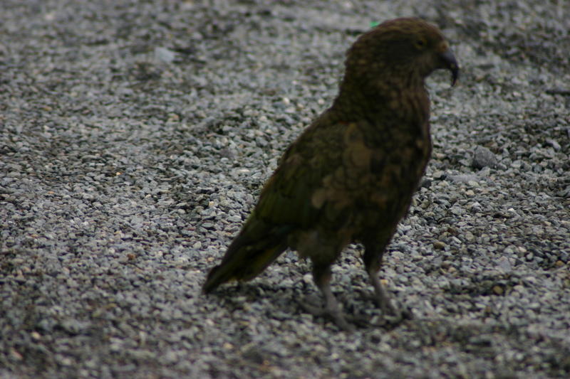 img_6672.jpg