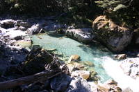 img_6523.jpg