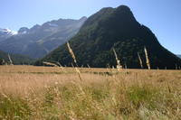 img_6532.jpg