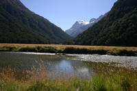 img_6533.jpg
