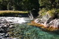 img_6546.jpg