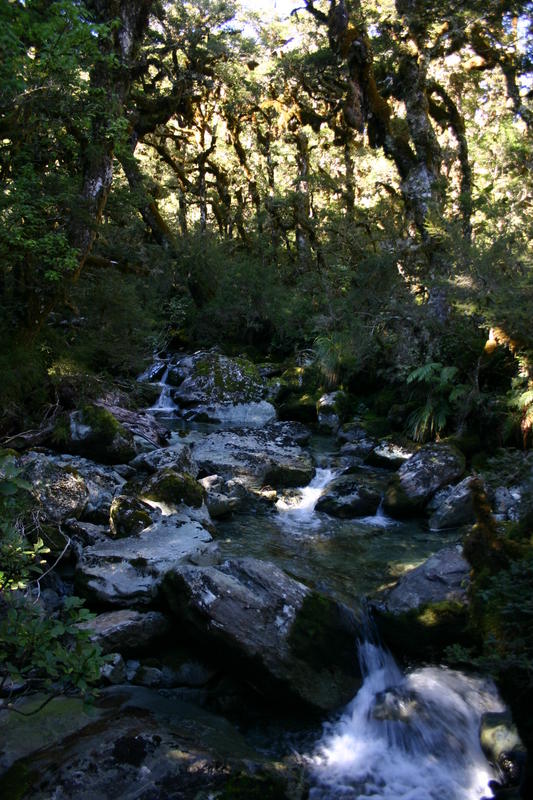 img_6616.jpg