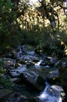 img_6616.jpg