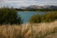Mt Cook and lake Tekapo