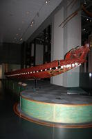 img_6358.jpg