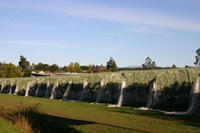 img_6385.jpg