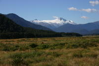 img_6465.jpg