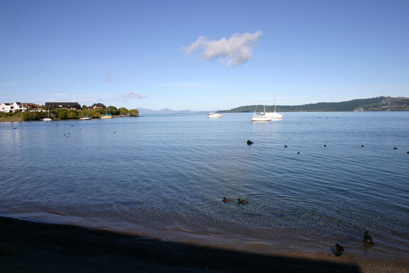 img_6249.jpg