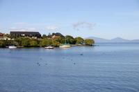 img_6252.jpg