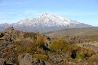 img_6287.jpg