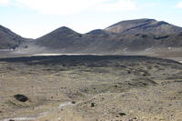 img_6303.jpg