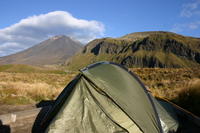 img_6337.jpg