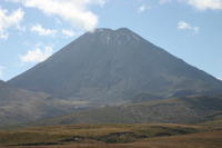 img_6346.jpg