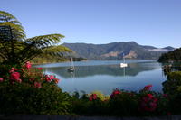 Marlborough Sounds - Te Mahia