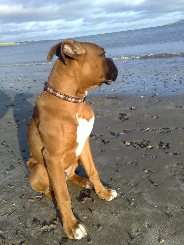 20122009768.jpg
